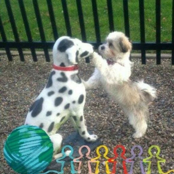 Meet your Posher, Jean - Picture 1 of 1